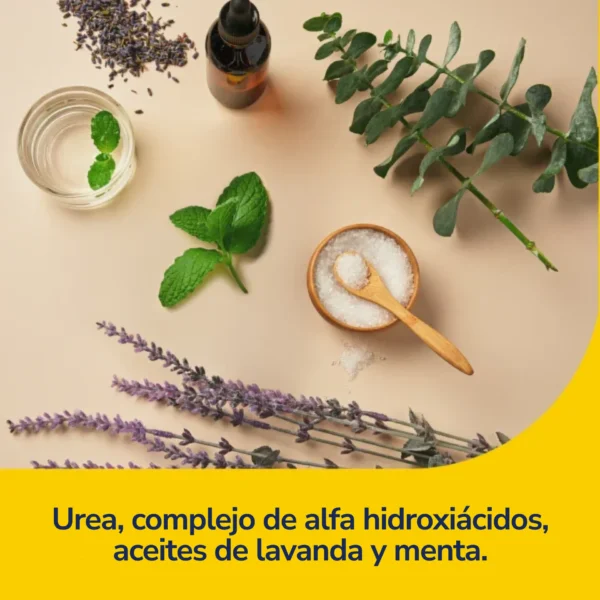 Mascarilla Exfoliante para Pies Dr. Scholl's - Pies Suaves