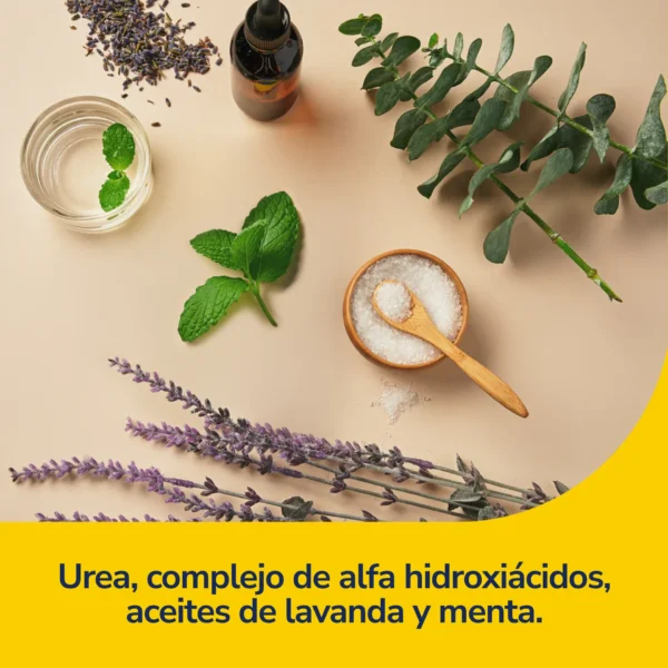 Mascarilla Hidratante para Pies Dr. Scholl's | Reparadora