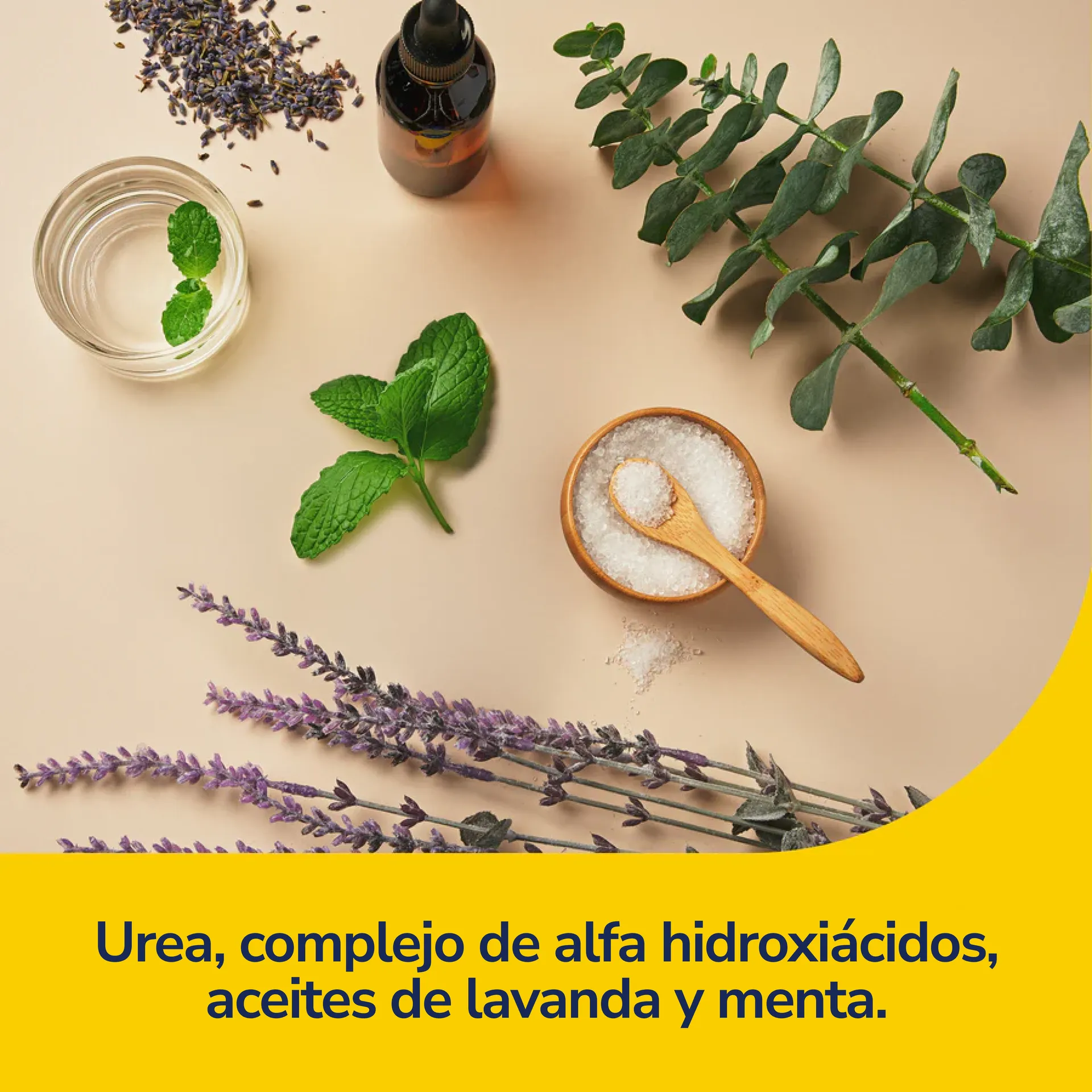 Mascarilla Hidratante para Pies Dr. Scholl's | Reparadora - Imagen 5